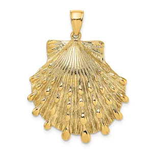 14K Yellow Gold Polished Textured Finish Lion's Paw Sea Shell Charm Pendant