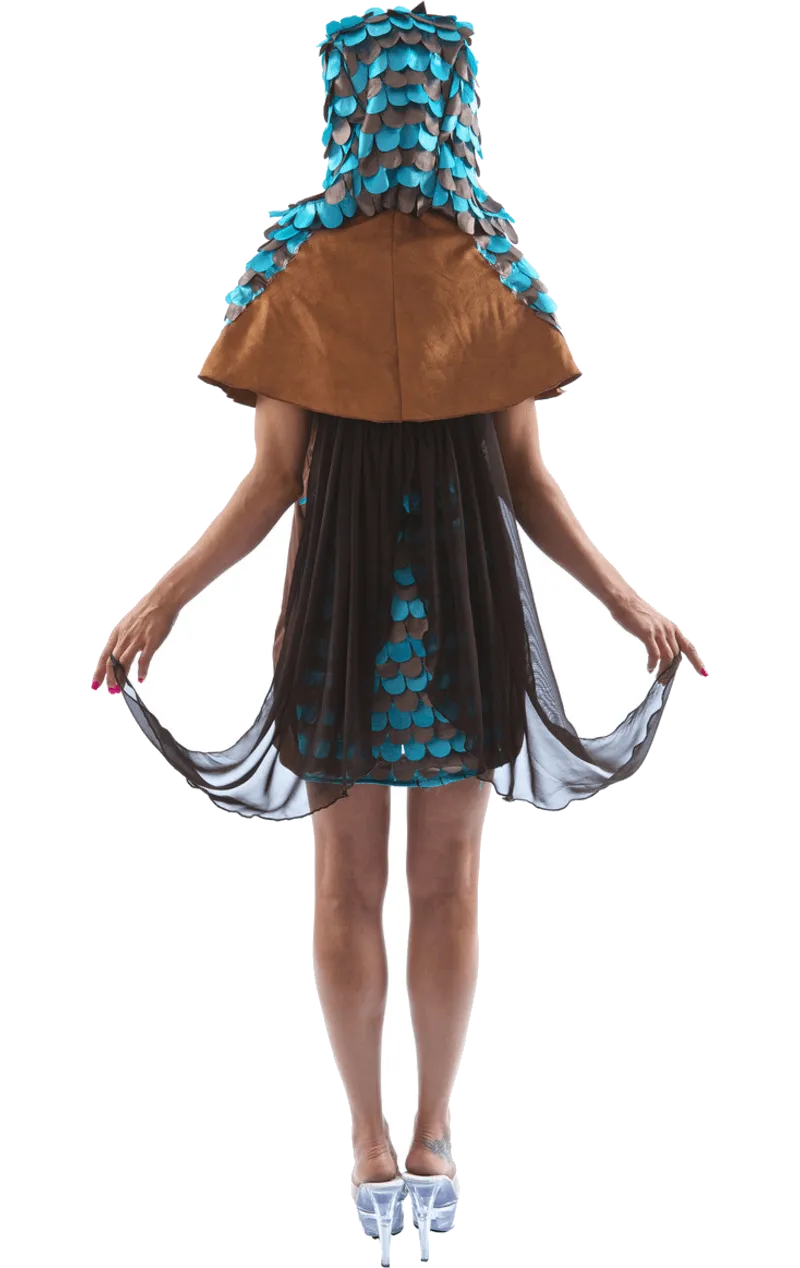Adult Owl Dress Animal Costume