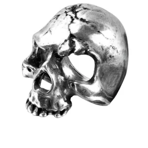 Alchemy Gothic R174  Ruination Skull Ring