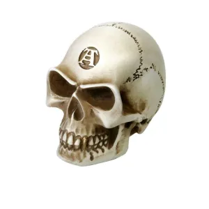 Alchemy Gothic V40  Bone Colored Skull Gear Knob