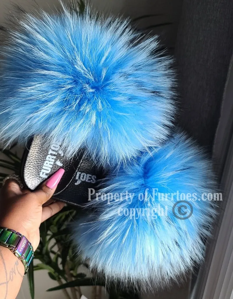 BABY BLUE WITH BLACK TIPS