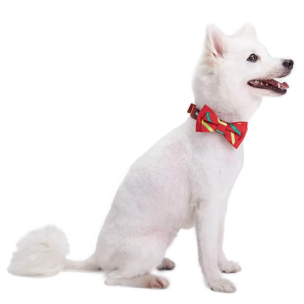 Blueberry Pet Christmas Festival Striped Collar