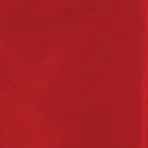 Boys Poly Silk Clip On Bowtie