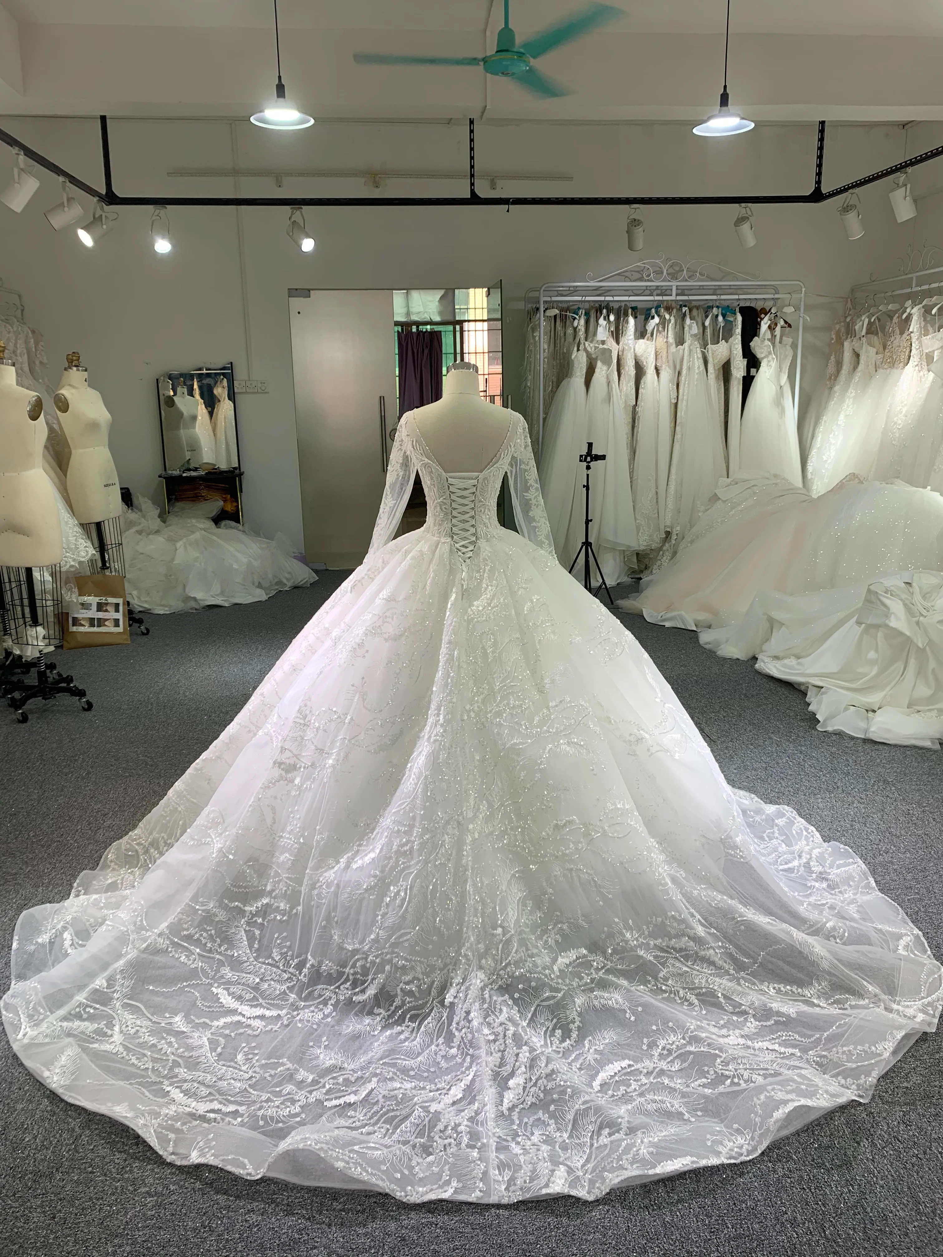 BYG  long sleeves bridal gown with a 2m veil match the dress