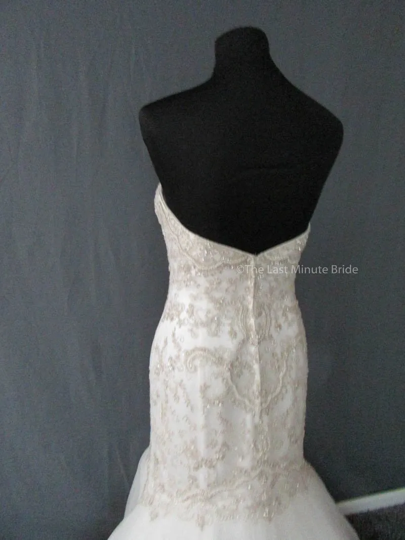 Casablanca 2197 size 16