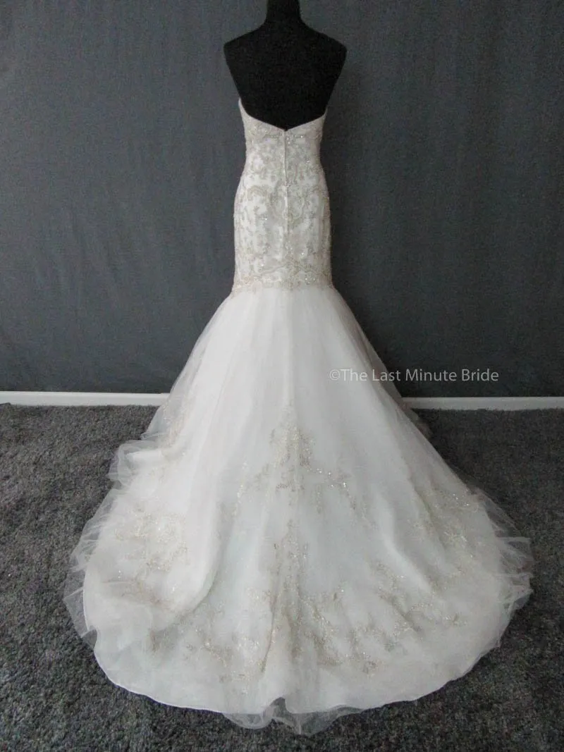 Casablanca 2197 size 16