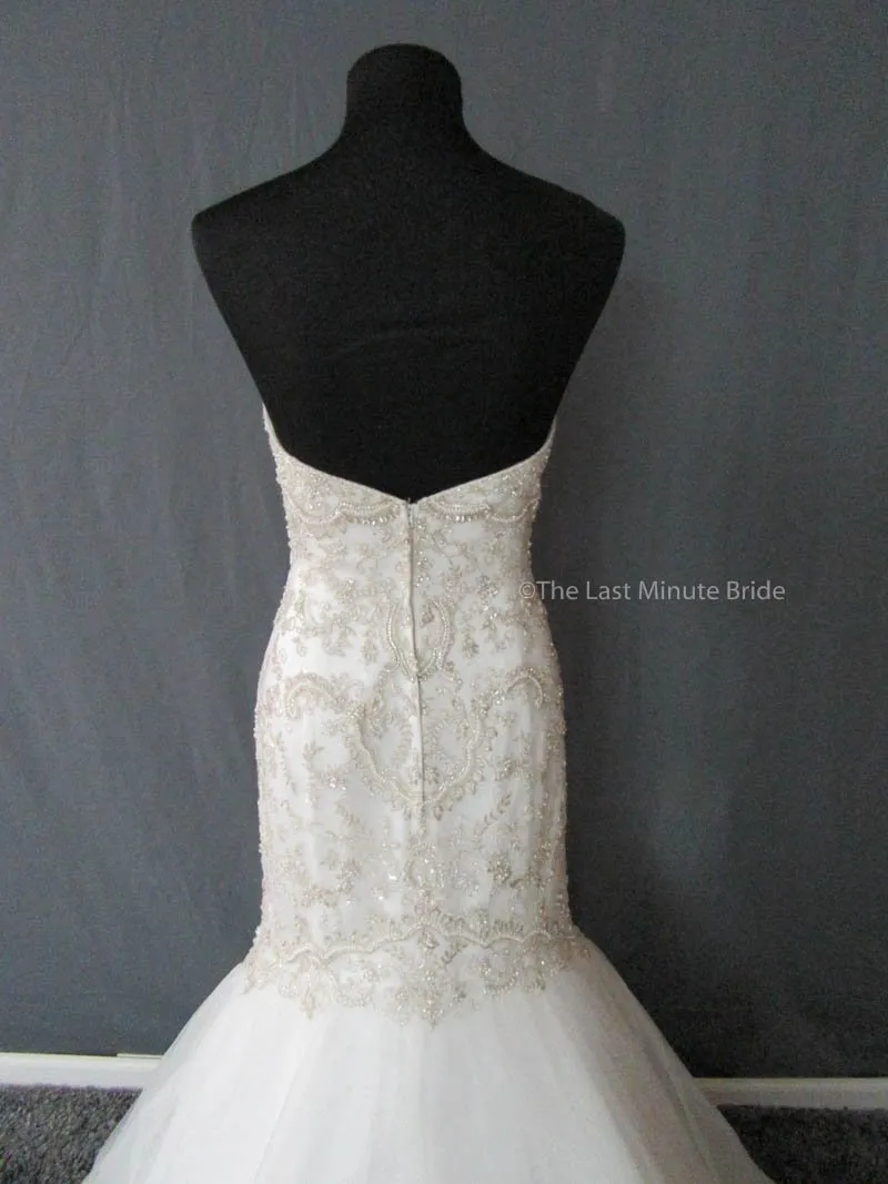 Casablanca 2197 size 16