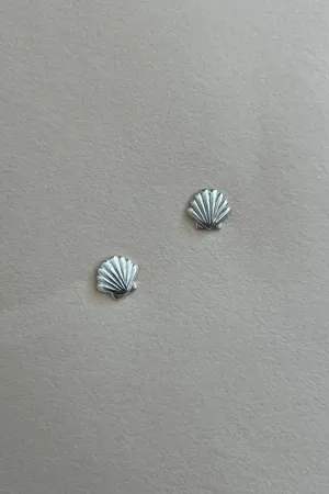 Clam Shell Studs