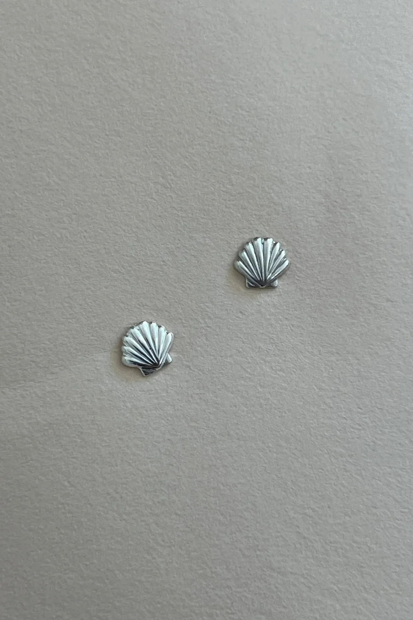Clam Shell Studs