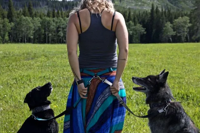 Hands Free Leash (4ft - Selfoss)