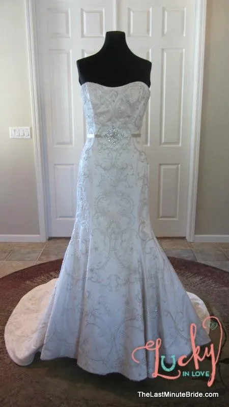 Lazaro 3262 or LZ3262