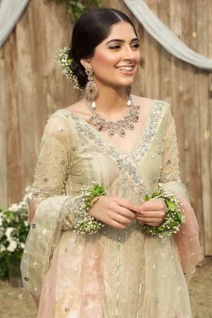 Pakistani Bridal Wedding Frock in Ivory Color #Y6068