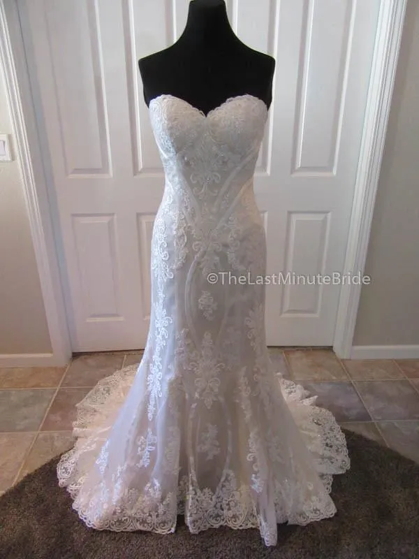 Private Collection Karen 18018 (multiple sizes available)