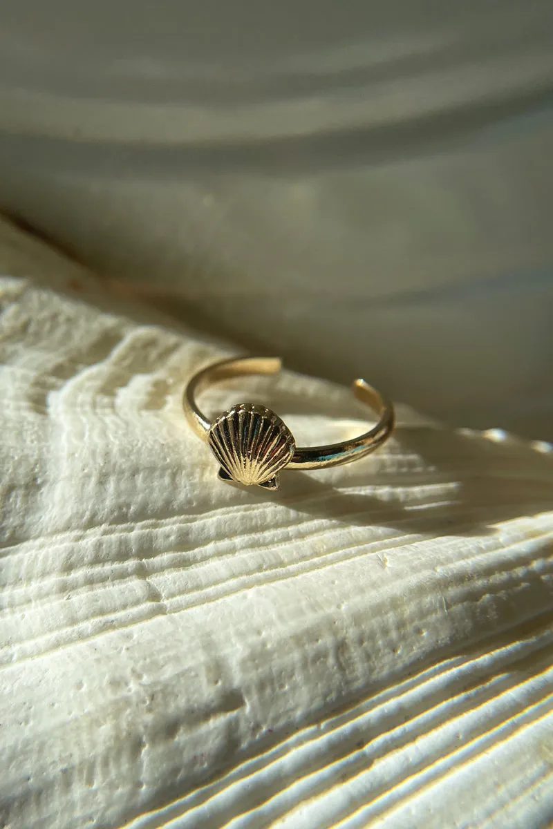 Sea Shellin Toe Ring