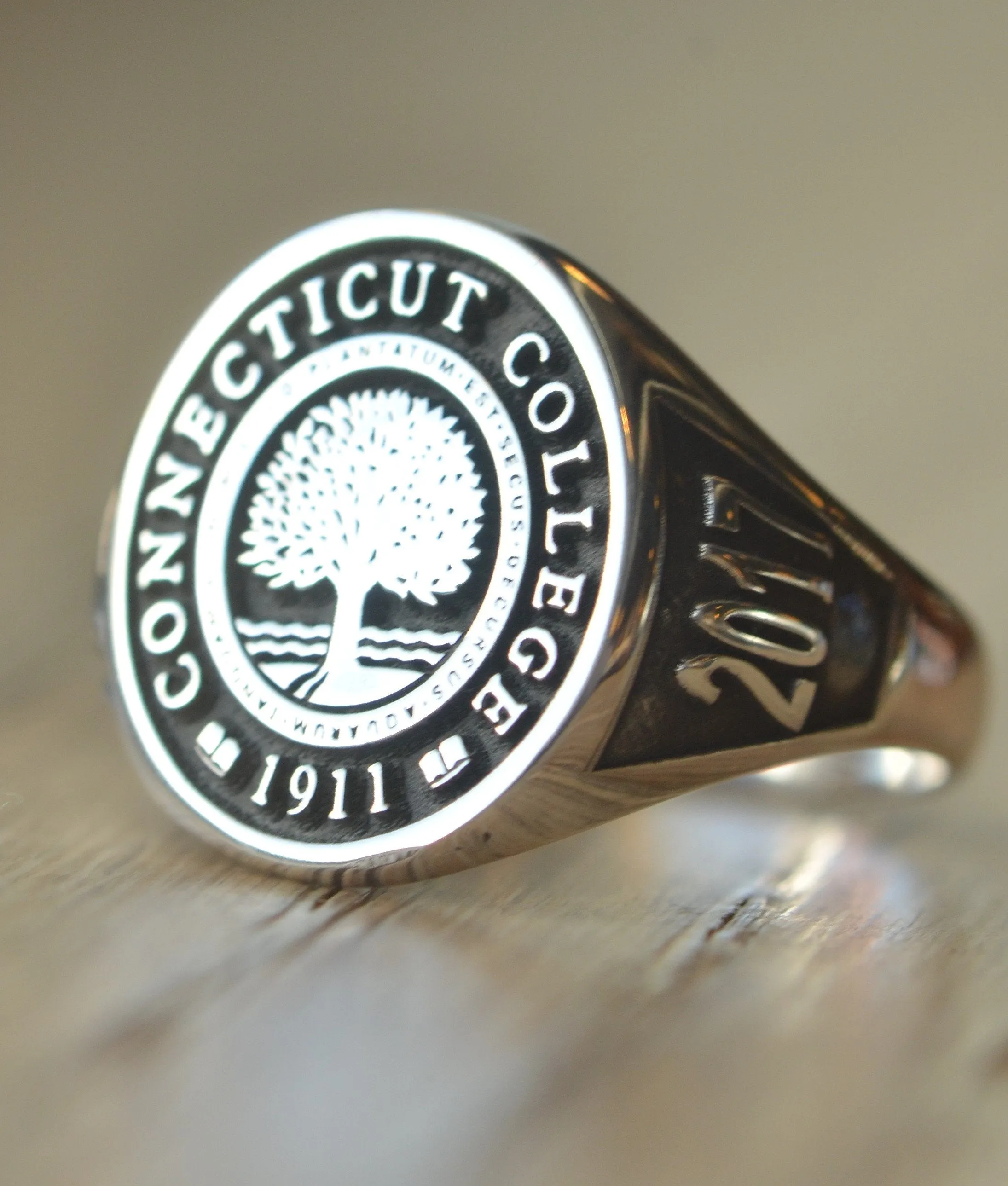 Solid Gold Custom Made College Ring - Connecticut College - Any College
