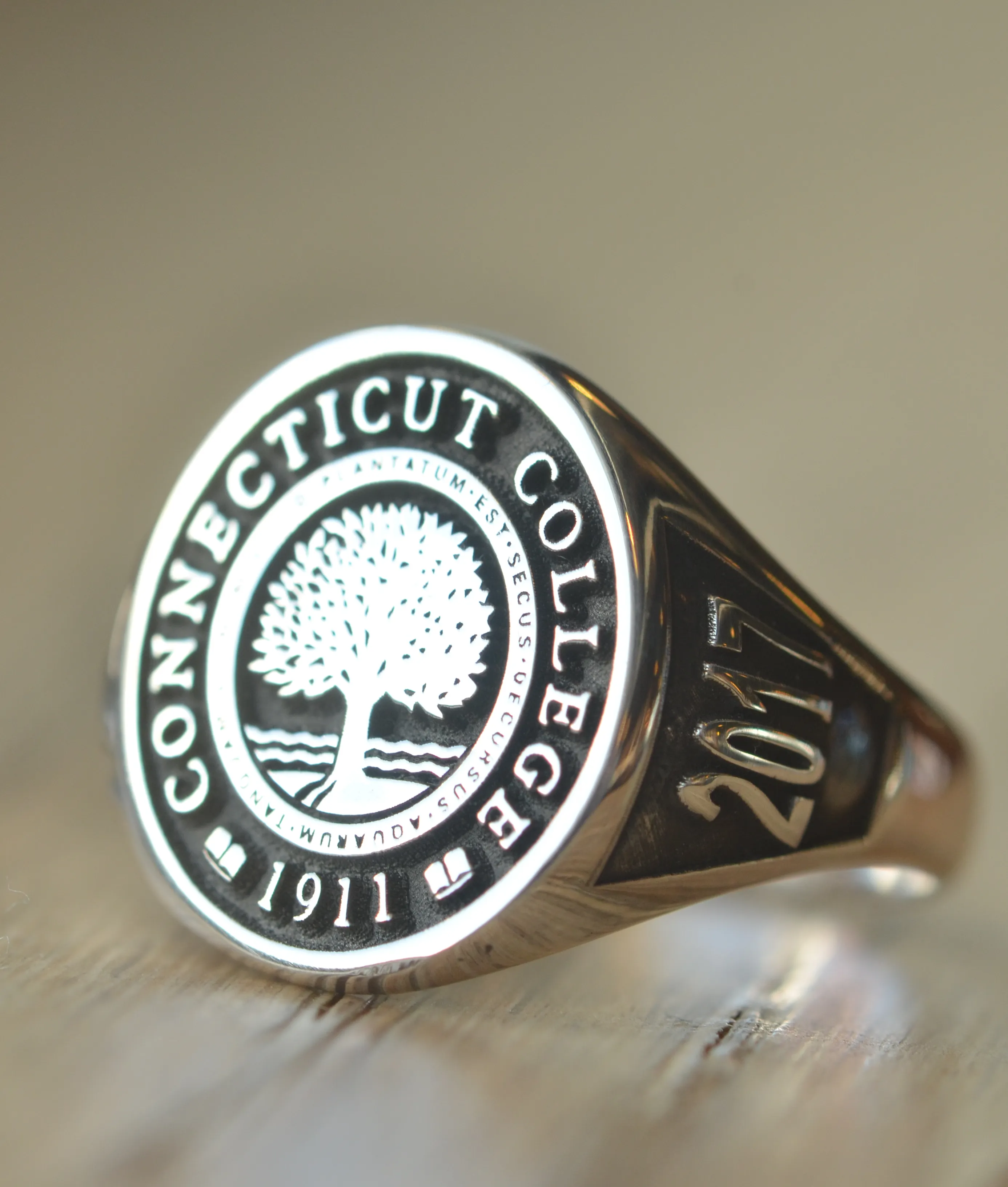 Solid Gold Custom Made College Ring - Connecticut College - Any College