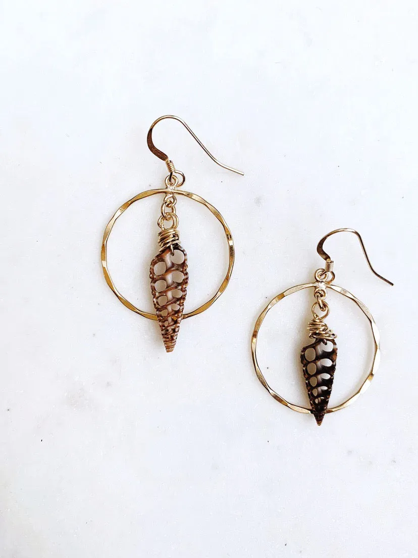 Telescopium Shell Earrings