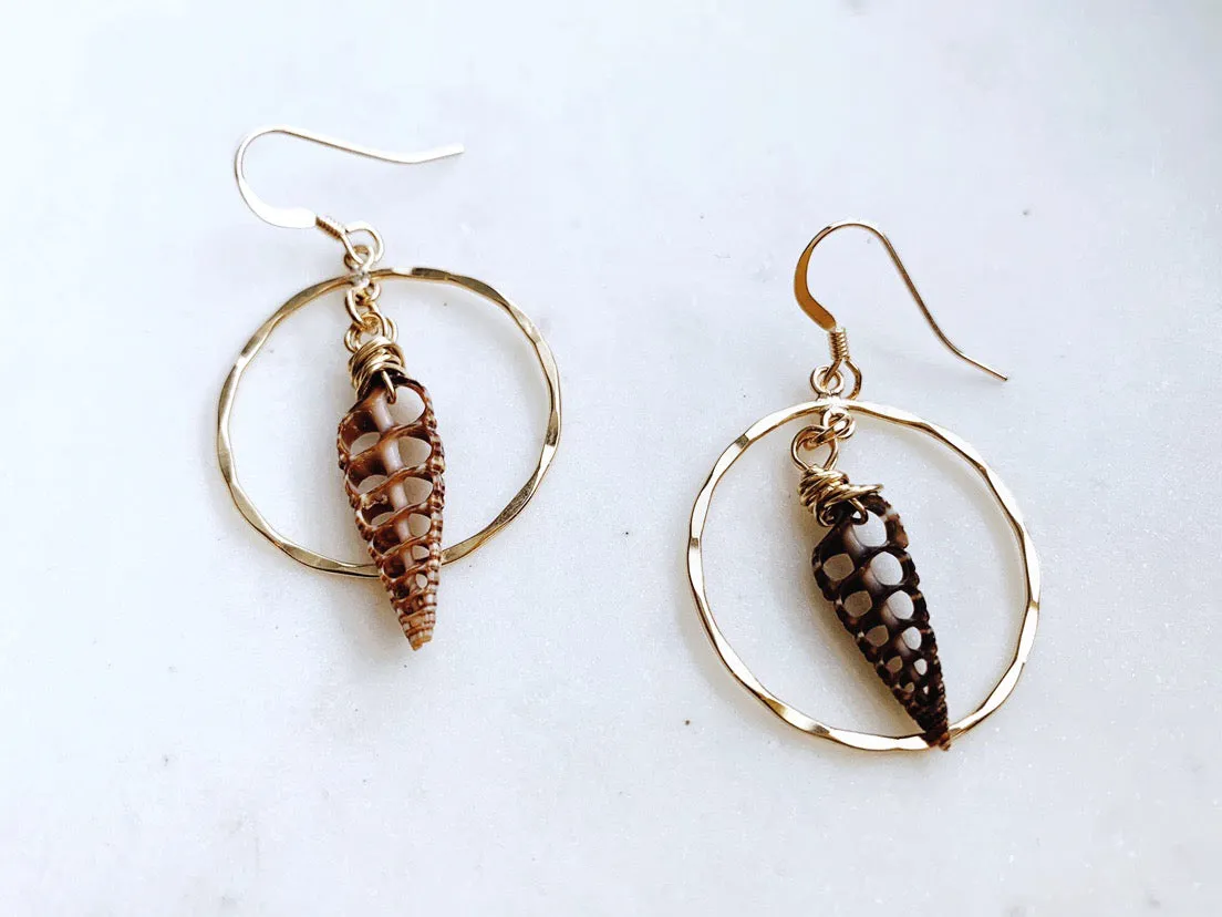 Telescopium Shell Earrings