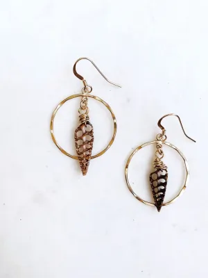 Telescopium Shell Earrings