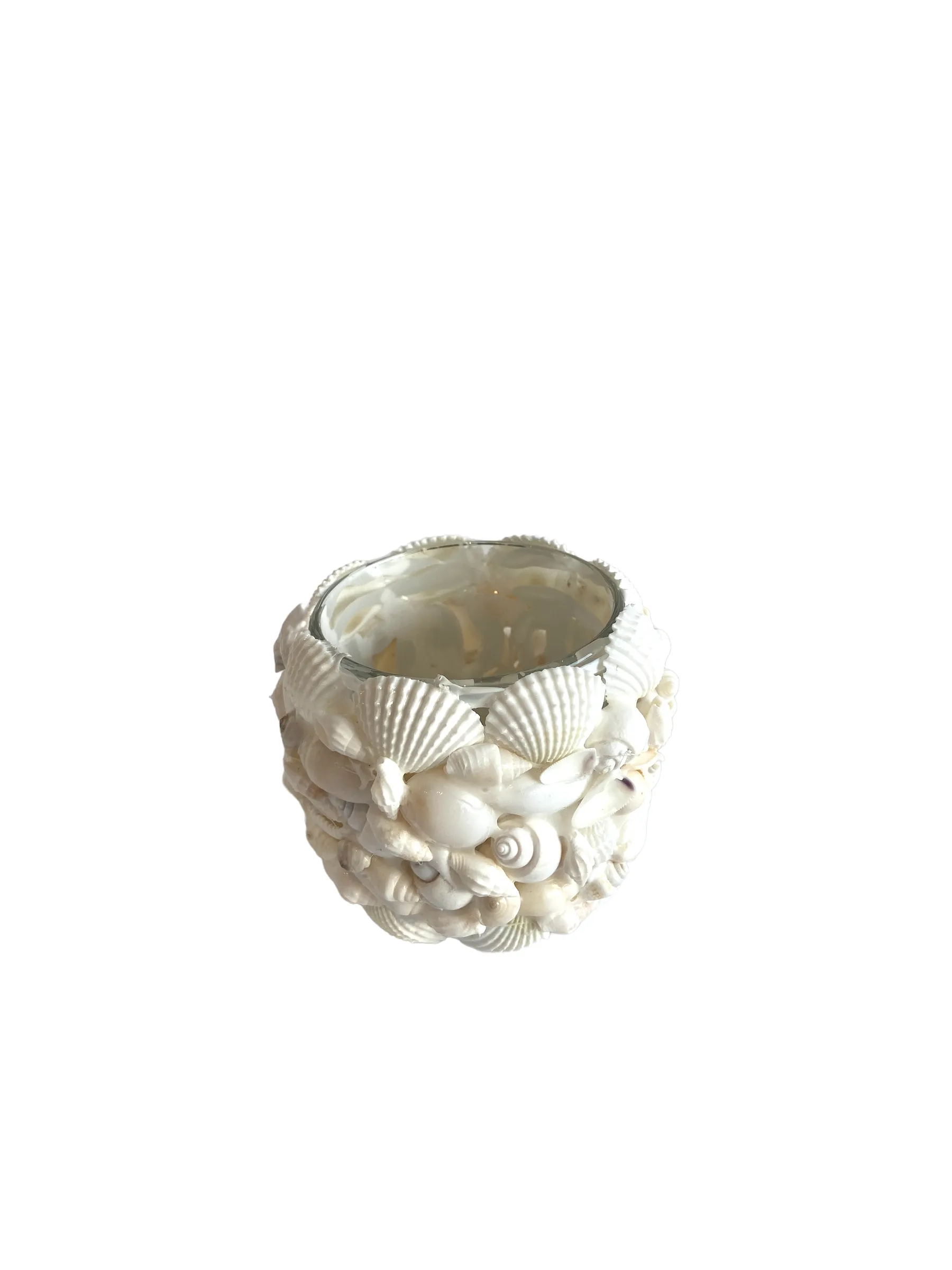White Mixed Shell Votives, Small